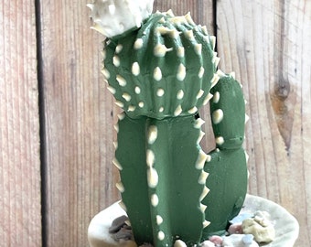 Figura de cactus de cerámica vintage con flores, decoración del suroeste