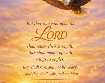 Könnte beinhalten: Ein Weißkopfseeadler mit braunen und weißen Federn fliegt durch einen Sonnenuntergangshimmel. Der Text lautet: But they that wait upon the LORD shall renew their strength; they shall mount up with wings as eagles; they shall run, and not be weary; and they shall walk, and not faint. ISAIAH 40:31 (KJV)