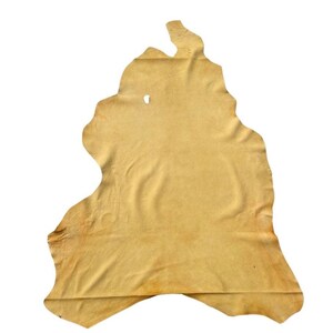 May include: A single, irregularly shaped piece of natural tan leather hide with a smooth, matte surface texture. The hide features organic, curved edges and a consistent light brown color throughout, with a small, singular white perforation.