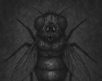 MOSCA DOMÉSTICA