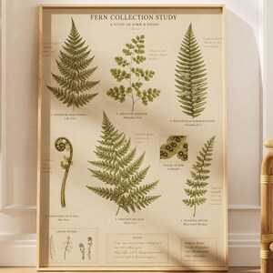 Vintage botaniczny wydruk z paprociami, antyczna sztuka ścienna z motywami botanicznymi, plakat do nauki kolekcji paproci, wystrój Cottagecore Nature, pobieranie cyfrowe