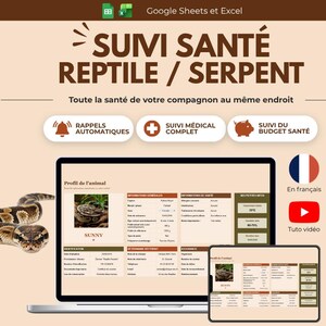 Vorlage zur Schlangen-Gesundheitsdokumentation in Excel und Google Sheets | Pythons, Boas und andere Reptilien erfassen | Automatisierte Gesundheitsdokumentation für Schlangen | Schlangen-Gesundheitstracker