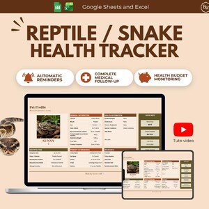 Snake Health Tracker Excel & Google Sheets | Reptile Care Spreadsheet | Python and Boa Health Log | Automated Snake Care Template