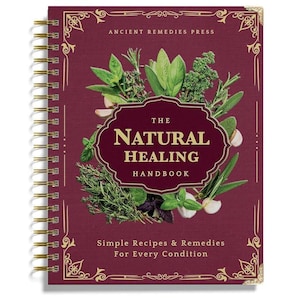 Può includere: Un manuale rilegato a spirale intitolato "The Natural Healing Handbook" con una copertina bordeaux. La copertina presenta una cornice dorata ornata e illustrazioni di erbe e aglio. Il testo recita "Simple Recipes & Remedies For Every Condition."