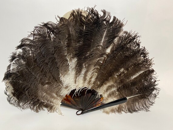 Edwardian ostrich feather fan - Gem
