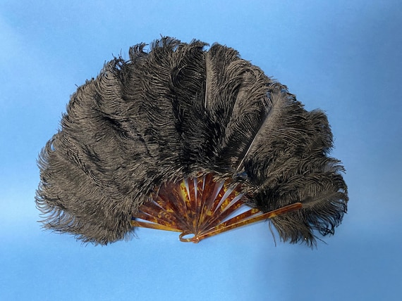 Edwardian ostrich feather fan