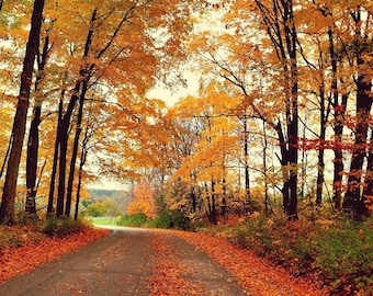 Fall Colors Drive