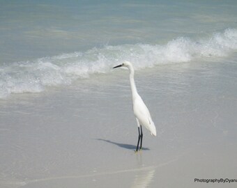 Egret on The Beach Beach Photography Photo 8x10