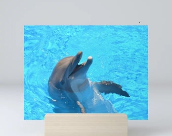 Dolphin Love Mini Art Print with Wooden Stand