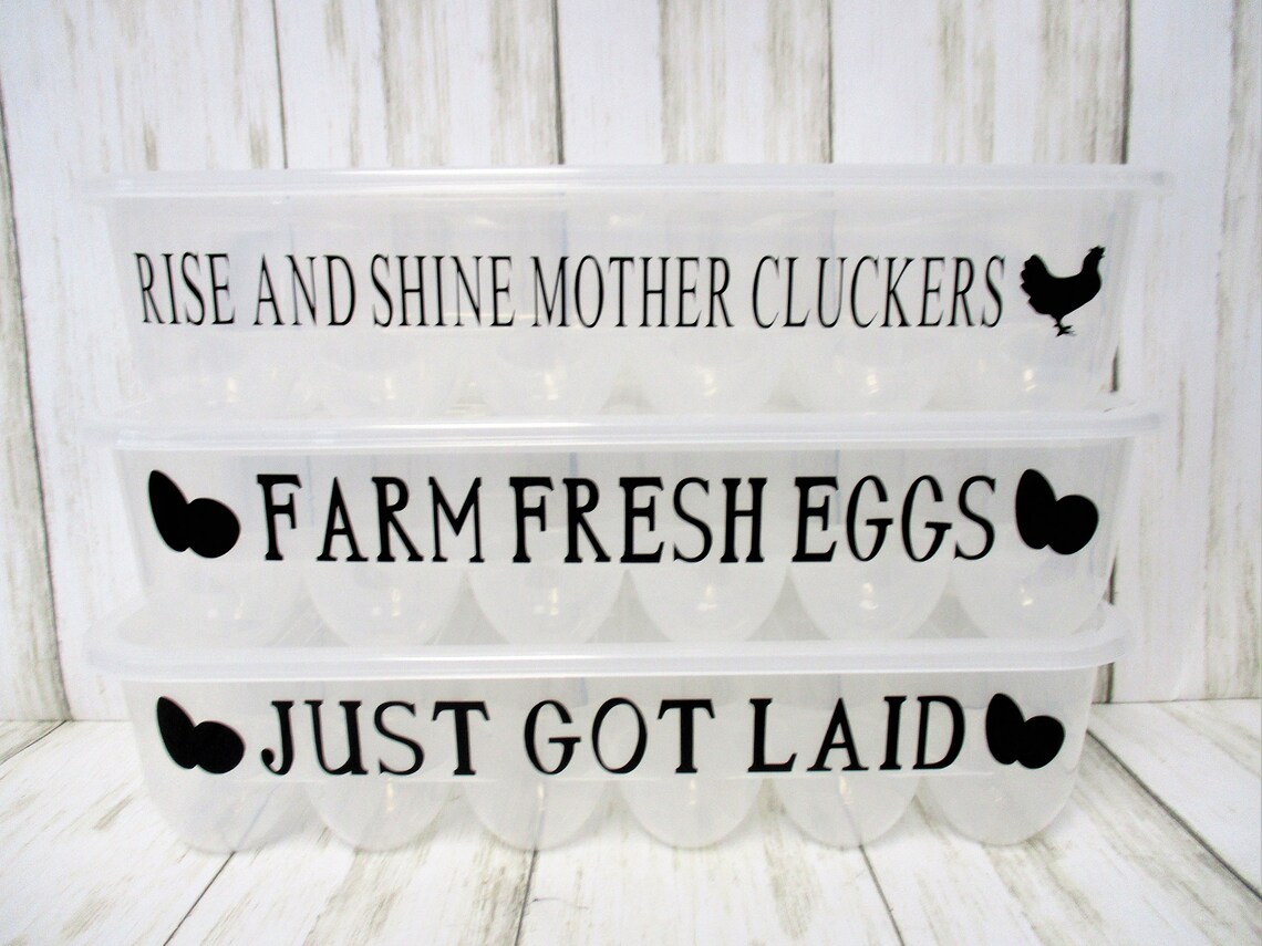 Plastic Reusable Funny Saying Egg Cartons Etsy