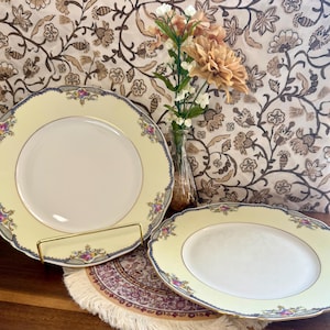 Antyczny zestaw 2 talerzy sałatkowych Paul Müller Selb Bavaria China Minto, porcelana niemiecka w stylu vintage, złote zdobienia z lat 20. XX wieku