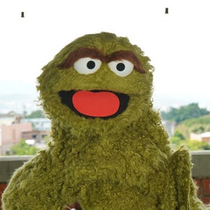 May include: A green, furry puppet with large white eyes, brown eyebrows, and a red mouth. The puppet is set against a blurred background of buildings and a cloudy sky. The puppet's expression is a wide, open-mouthed grin.