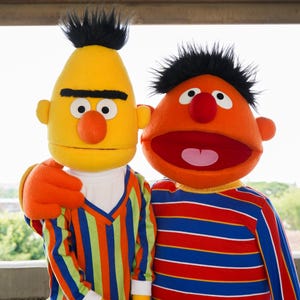 May include: Two Sesame Street character costumes, Bert and Ernie, are shown in a medium shot. Bert is yellow with a black spiky hair and orange nose. Ernie is orange with black spiky hair and a red nose. Bert wears a striped shirt, and Ernie wears a red and blue striped shirt.