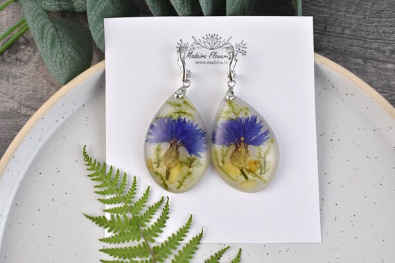 Real Cornflowers With Moss Earrings Blue Dangle Earrings 