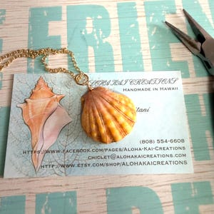 Puede incluir: Un collar de cadena dorada con un colgante de concha de vieira natural y estriada en tonos naranja y amarillo. El collar descansa sobre una tarjeta de visita de Aloha Kai Creations, que incluye datos de contacto y una ilustración de concha.