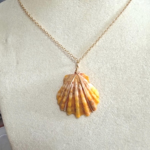 Puede incluir: Un collar con un colgante de concha de vieira natural en tonos amarillos y naranjas, asegurado con un fino alambre metálico. El colgante cuelga de una delicada y fina cadena metálica que se conecta en la parte superior de la concha.