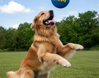 Personalized tough Dog squeaker toy Circle 4 inch.