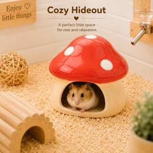 May include: A small hamster sits inside a ceramic mushroom-shaped hideout with a glossy red cap featuring white spots and a cream-colored base. The text above reads Cozy Hideout, A perfect little space for rest and relaxation, and Enjoy little things.