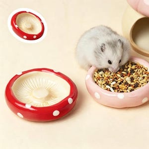 Pode incluir: Uma tigela para animais de estimação em forma de cogumelo vermelho de cerâmica com bolinhas brancas e interior branco. Um pequeno hamster come de uma tigela rosa com bolinhas brancas, cheia de sementes.