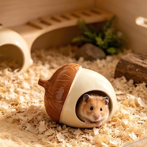 Puede incluir: Una casa para hámster en forma de bellota de cerámica, con la parte superior marrón y la base crema. Un pequeño hámster asoma por la abertura. La casa está en una jaula de madera con virutas y una escalera de madera.