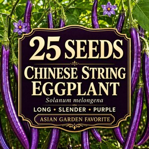 May include: A dark purple rectangular sign with gold text reading 25 SEEDS CHINESE STRING EGGPLANT Solanum melongena LONG SLENDER PURPLE ASIAN GARDEN FAVORITE, surrounded by long, slender purple eggplants and small purple flowers on green vines.