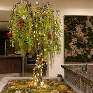 May include: A decorated indoor tree with green foliage, adorned with Christmas ornaments and string lights. The tree is surrounded by a bed of moss and rocks, creating a festive and natural ambiance. A large moss wall art piece is in the background.