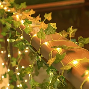 Pode incluir: Uma corda de luzes LED brancas quentes entrelaçada com folhas de hera artificiais. As folhas são em vários tons de verde e amarelo. As luzes estão dispostas sobre uma superfície castanha.