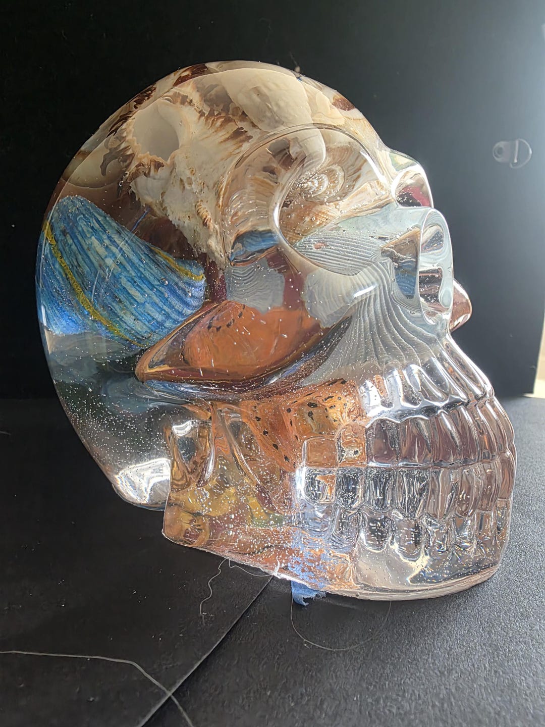 Epoxy Seashell Skull Art | Embedded Shells, Clear Resin Sculpture (4 ...