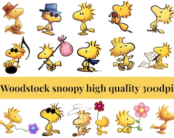Woodstock PNG Clipart Bundle, Cartoon Vogel Sublimationsdesign (Instant Download)