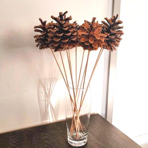 Grosses pommes de pin naturelles sur tiges de 35 cm, nettoyées et séchées, idéales pour les décorations de Noël, les compositions florales et les bouquets d'automne.