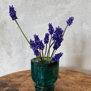 Op de afbeelding: Een kleine, donkergroene glazen vaas met een boeket paarse druifhyacintbloemen. De vaas heeft een ronde vorm en een dikke basis. De bloemen staan in volle bloei, met kleine, dicht opeengepakte bloempjes.