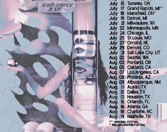 Poppy announces summer 2026 North American Tour Poster
