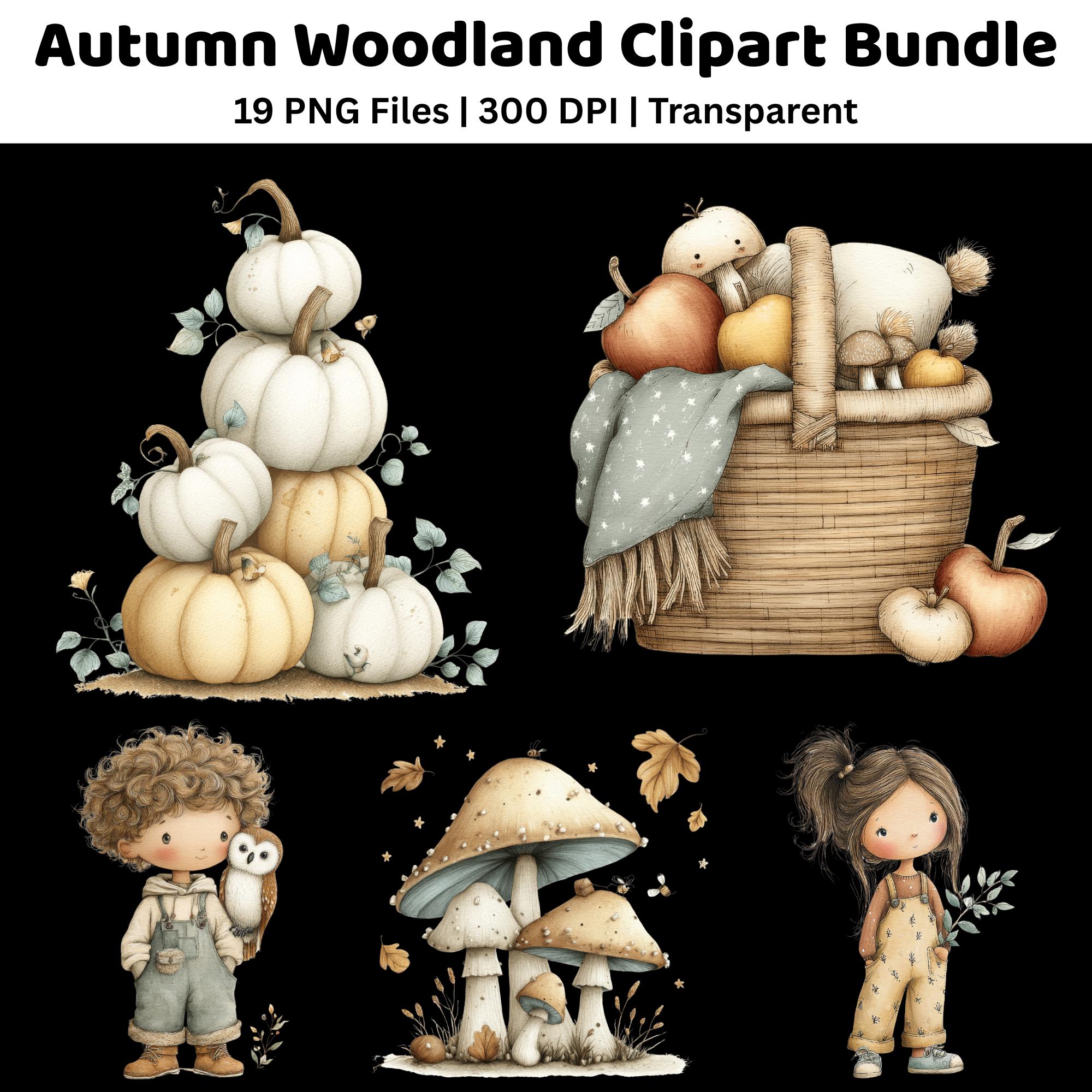Autumn Woodland Clipart Bundle | Watercolor Fox Owl PNG | Fall Nursery Digital Graphics