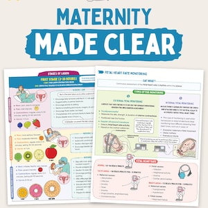May include: Educational maternity study guide featuring two pages with text and illustrations. The left page details stages of labor with fruit analogies, while the right page explains fetal heart rate monitoring with diagrams and medical text.