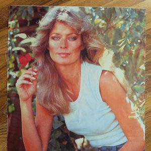 AWESOME Vintage Farrah Fawcett ROSE Fabric Photo Pillow - Famous Poster
