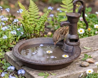 Cast Iron Water Pump Bird Bath, Vintage Garden Decor, Rustic Farmhouse Feeder