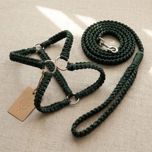 May include: A dark green macrame pet harness and matching lead set. The harness features a knotted cord design with silver-toned metal rings for adjustment. A coiled lead with a silver metal swivel snap hook is attached. A small brown tag is included.