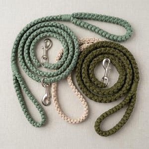 May include: Three braided rope leashes in sage green, cream, and olive green. Each leash features a looped handle at one end and a silver-toned metal swivel snap hook at the other. The ropes are coiled in circular patterns on a neutral surface.
