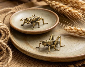 Pequeña estatua de grillo de latón macizo / Figura de insecto realista / Escultura de grillo en miniatura / Objeto de arte de latón antiguo / Pequeña escultura de mascota