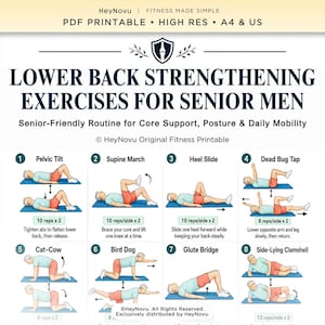 May include: A digital fitness guide titled Lower Back Strengthening Exercises for Senior Men, featuring eight illustrated exercises on blue mats with instructions for Pelvic Tilt, Supine March, Heel Slide, Dead Bug Tap, Cat-Cow, Bird Dog, Glute Bridge, and Side-Lying Clamshell.