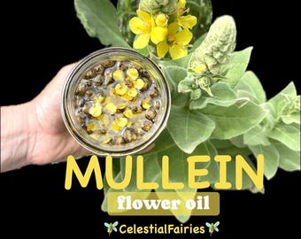 Organic Mullein Flower Oil: Handcrafted Verbascum Thapsus Botanical pressed flower Oil. Herbal Apothecary Supply 1 oz dropper