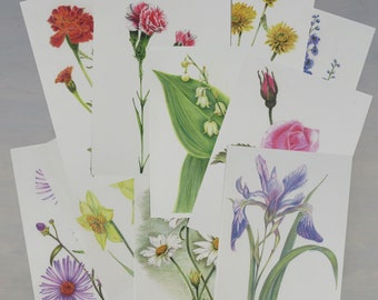 Birth Month Flower Greeting Cards