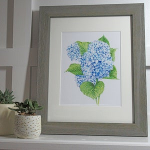 Blue Hydrangea Giclee Print image 1