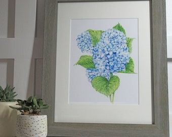 Blue Hydrangea Giclee Print