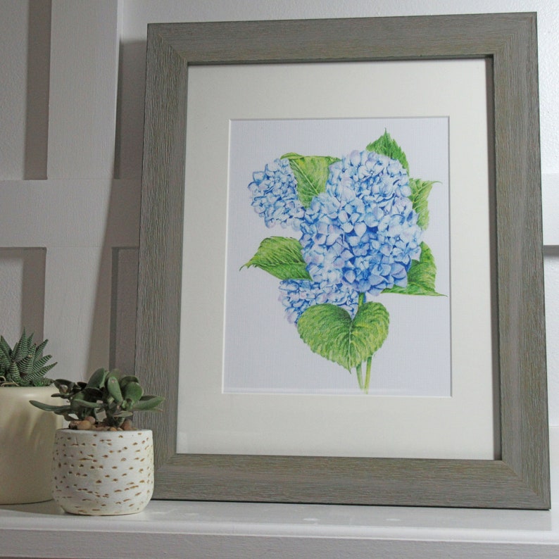 Blue Hydrangea Giclee Print image 1