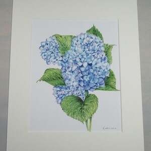 Blue Hydrangea Giclee Print image 3