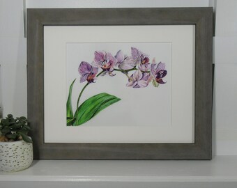 Orchid Giclee Print