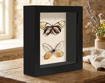 White Wooden Shadow Box 5x5 Memory Display Case, Linen Back Tempered Glass