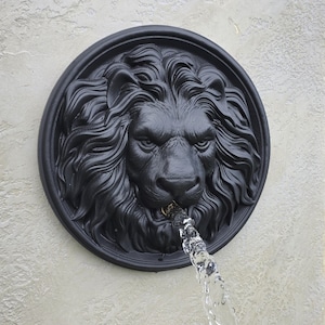 May include: A black, circular fountain with a lion's head design. Water flows from the lion's mouth. The fountain is mounted on a textured, light-colored wall. The lion's face has detailed features.