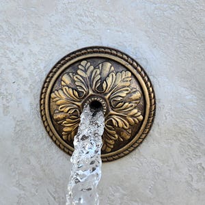 May include: A circular bronze-toned wall fountain spout featuring a relief of stylized acanthus leaves arranged in a radial pattern. The metal fixture has a rope-textured border and a central opening from which a steady stream of water flows.
